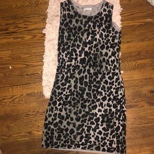 animal print calvin klein dress